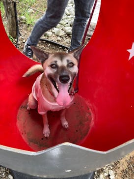 伊豆ぐらんぱる公園に投稿された画像（2024/10/9）