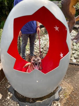 伊豆ぐらんぱる公園に投稿された画像（2024/10/9）