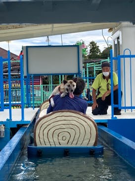 伊豆ぐらんぱる公園に投稿された画像（2024/10/9）