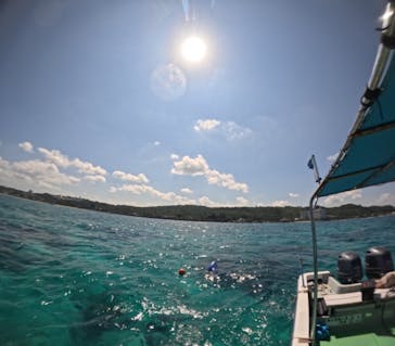 青の洞窟専門店　沖縄ダイビングショップ和に投稿された画像（2024/10/9）