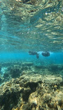 武藤潜水に投稿された画像（2024/10/9）