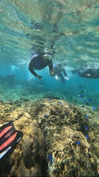 武藤潜水に投稿された画像（2024/10/9）