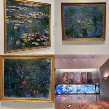 モネ 睡蓮のとき（国立西洋美術館）に投稿された画像（2024/10/9）