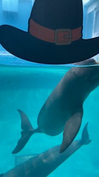 マリンワールド海の中道に投稿された画像（2024/10/9）