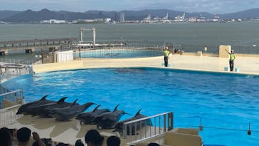 マリンワールド海の中道に投稿された画像（2024/10/9）