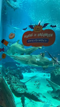 マリンワールド海の中道に投稿された画像（2024/10/9）