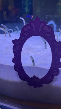 マリンワールド海の中道に投稿された画像（2024/10/9）