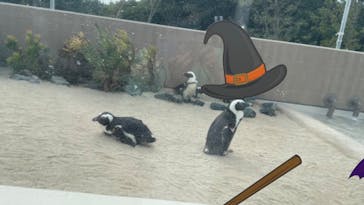 マリンワールド海の中道に投稿された画像（2024/10/9）