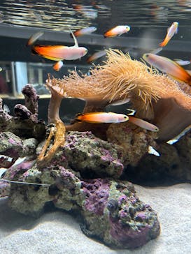 AOAO SAPPOROに投稿された画像（2024/10/9）