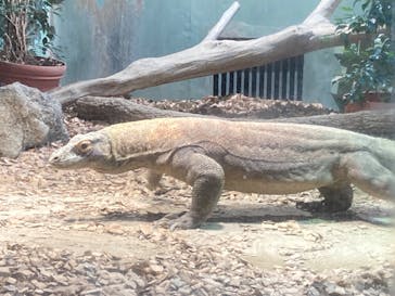 名古屋市東山動植物園に投稿された画像（2024/10/9）