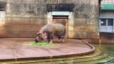 名古屋市東山動植物園に投稿された画像（2024/10/9）