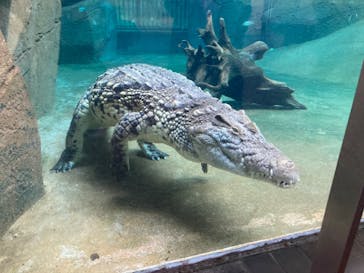 名古屋市東山動植物園に投稿された画像（2024/10/9）