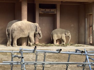 名古屋市東山動植物園に投稿された画像（2024/10/9）
