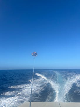 アークダイブに投稿された画像（2024/10/9）