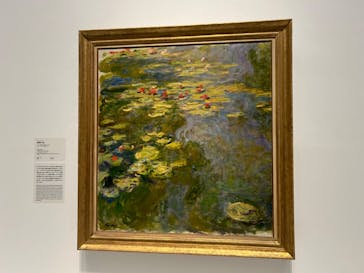 モネ 睡蓮のとき（国立西洋美術館）に投稿された画像（2024/10/9）