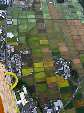 気球屋に投稿された画像（2024/10/9）