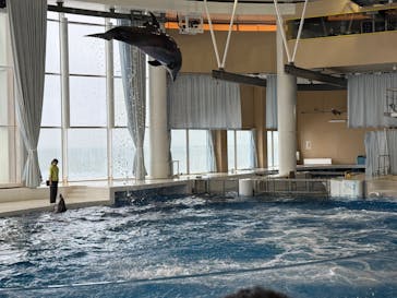 アクアワールド茨城県大洗水族館に投稿された画像（2024/10/9）