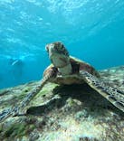 宮古島 ADVENTURE PiPi（ミヤコジマ アドベンチャー ピピ）に投稿された画像（2024/10/9）