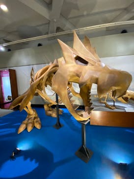 岐阜県博物館に投稿された画像（2024/10/9）