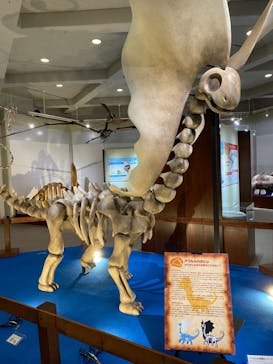 岐阜県博物館に投稿された画像（2024/10/9）