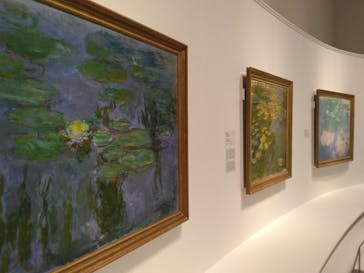 モネ 睡蓮のとき（国立西洋美術館）に投稿された画像（2024/10/9）
