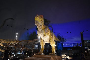 福井県立恐竜博物館に投稿された画像（2024/10/9）