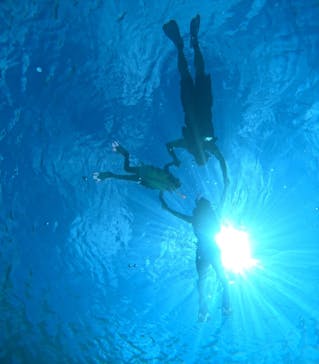 宮古島 ADVENTURE PiPi（ミヤコジマ アドベンチャー ピピ）に投稿された画像（2024/10/9）