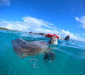 宮古島 ADVENTURE PiPi（ミヤコジマ アドベンチャー ピピ）に投稿された画像（2024/10/9）