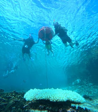 宮古島 ADVENTURE PiPi（ミヤコジマ アドベンチャー ピピ）に投稿された画像（2024/10/9）