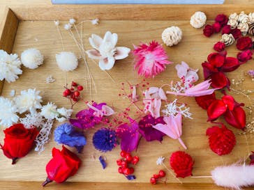 workshop「cokage」に投稿された画像（2024/10/9）