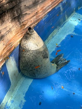 名古屋市東山動植物園に投稿された画像（2024/10/9）