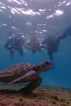 nico 宮古島に投稿された画像（2024/10/9）