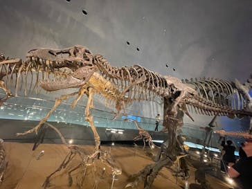 福井県立恐竜博物館に投稿された画像（2024/10/9）