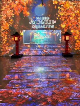 マクセル アクアパーク品川に投稿された画像（2024/10/10）