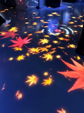 マクセル アクアパーク品川に投稿された画像（2024/10/10）