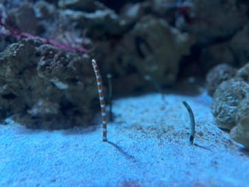 マクセル アクアパーク品川に投稿された画像（2024/10/10）