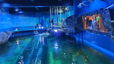 しながわ水族館に投稿された画像（2024/10/10）