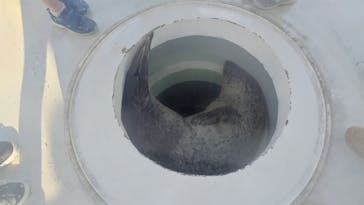 しながわ水族館に投稿された画像（2024/10/10）