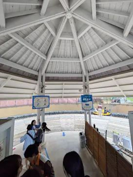 ひらかたパークに投稿された画像（2024/10/10）