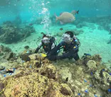 武藤潜水に投稿された画像（2024/10/10）