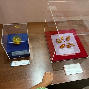 岐阜県博物館に投稿された画像（2024/10/10）