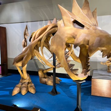 岐阜県博物館に投稿された画像（2024/10/10）