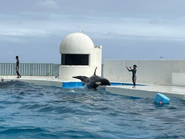 鴨川シーワールドに投稿された画像（2024/10/10）