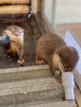 伊豆・三津シーパラダイスに投稿された画像（2024/10/10）