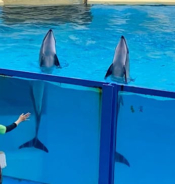 伊豆・三津シーパラダイスに投稿された画像（2024/10/10）