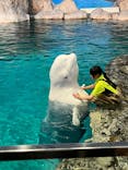 名古屋港水族館に投稿された画像（2024/10/10）