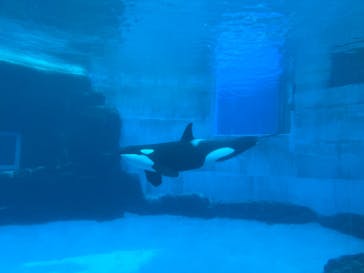 名古屋港水族館に投稿された画像（2024/10/10）