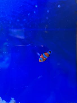 名古屋港水族館に投稿された画像（2024/10/10）