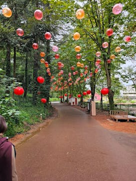 ムーミンバレーパークに投稿された画像（2024/10/10）