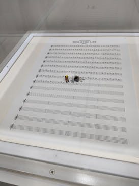 MINIATURE LIFE展 ー田中達也 見立ての世界ー　in　門司港レトロに投稿された画像（2024/10/10）